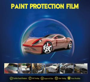 Paint Protection Film